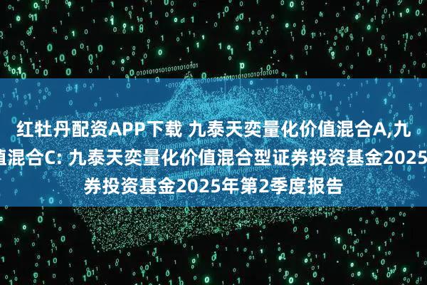 红牡丹配资APP下载 九泰天奕量化价值混合A,九泰天奕量化价值混合C: 九泰天奕量化价值混合型证券投资基金2025年第2季度报告
