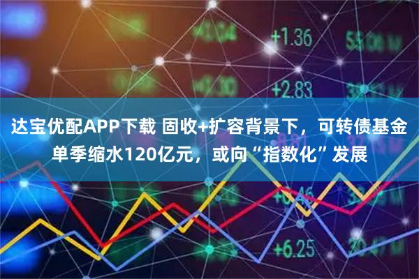 达宝优配APP下载 固收+扩容背景下,可转债基金单季缩水120亿元,或向“指数化”发展