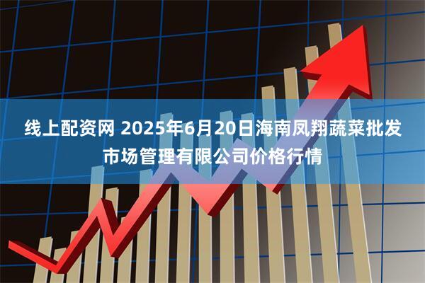 线上配资网 2025年6月20日海南凤翔蔬菜批发市场管理有限公司价格行情
